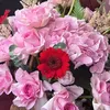 95najla