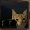 jo._77_jo