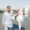 sirajmangi03gmail