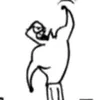 paulpascu197