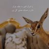 mony_1120