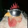 joelokw.w0b