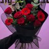 noory845
