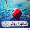 walidabosnina