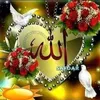 useruklbxw7rjq