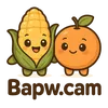 _bapwmetroi_