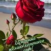 olchic1