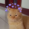 user_071998