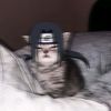 zull.zzzzz