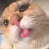 pweeyley