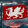 crazyhorse1666