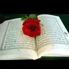 dimadlshad263