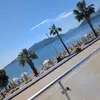 _caidenl_