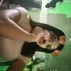 kriza.mae18