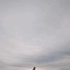 opjreteh05