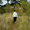 nct.bee