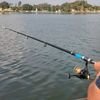 الصيد غية fishing