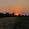 dobhanarokamagar