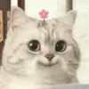 zexiwang2