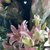 machacha104
