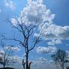 alp_896