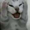 sinh_vien_la2y
