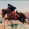 elgtarimouhammad