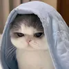 alina_77702