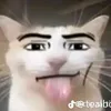 mrbullet1273