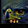 kashifkhan10016