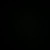 ravid_1235