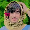 navid__gull07