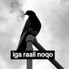 noah_d.j