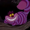 nannurcheshire