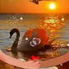 getasorin3
