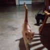 eddy_ca04