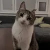 jnxhakdn