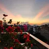 nguyenthivituong