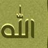 w50515555gmailcom