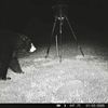 bearslayer63