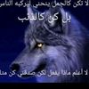 kingriyadh01