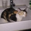 xamlonlahay78_