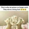 anonymousbaby107
