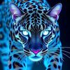 aash2hjb