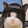 hmsiam42