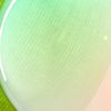 bubblegume_rainbowpop