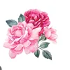vy.oanh.12345