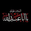 am.ali406
