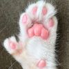 olliesmomkat