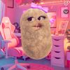 rew_tzxy